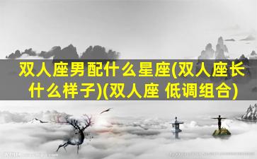 双人座男配什么星座(双人座长什么样子)(双人座 低调组合)